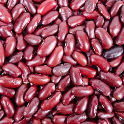 Rajma Jammu