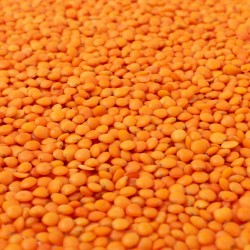 Malka Dal
