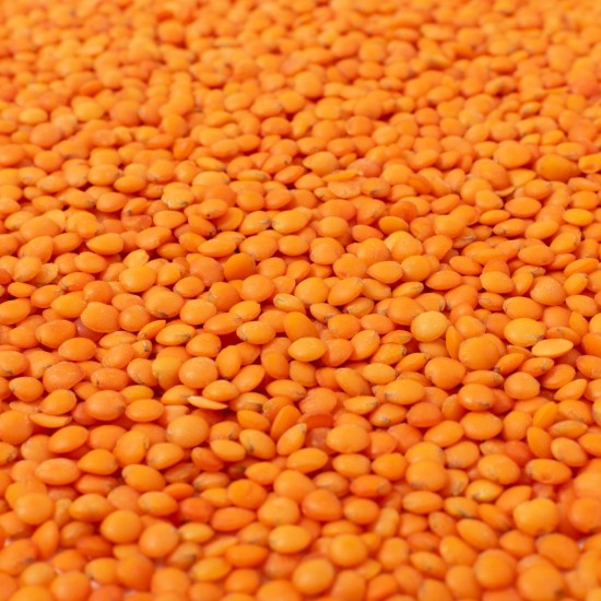 Malka Dal