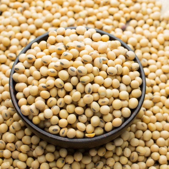 White Soyabean