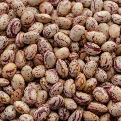 Rajma Chitra